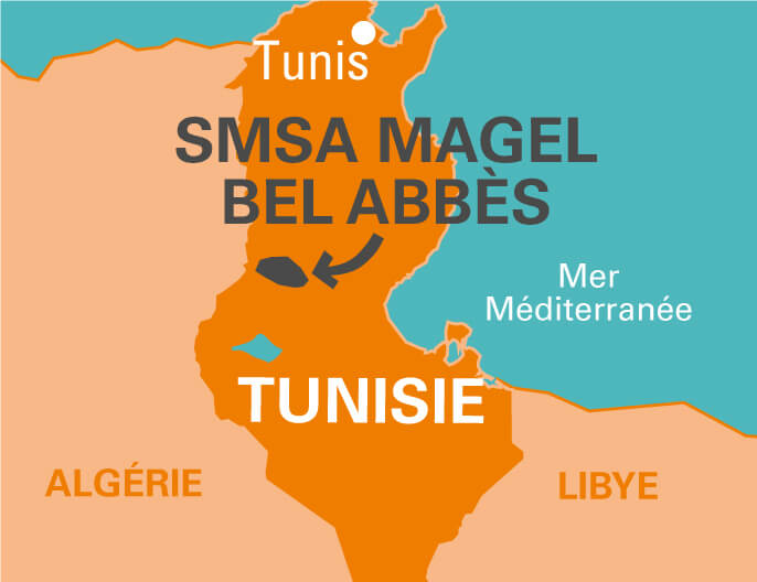 Carte SMSA Magel bel AbbÃ¨s en Tunisie purÃ©e d'amande